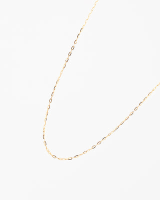 Gold chain necklace on a white background
