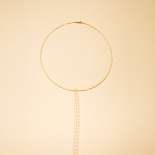 Collier de Chien