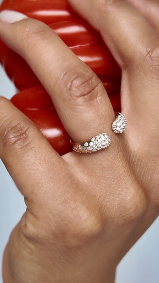 Ensemble Ring