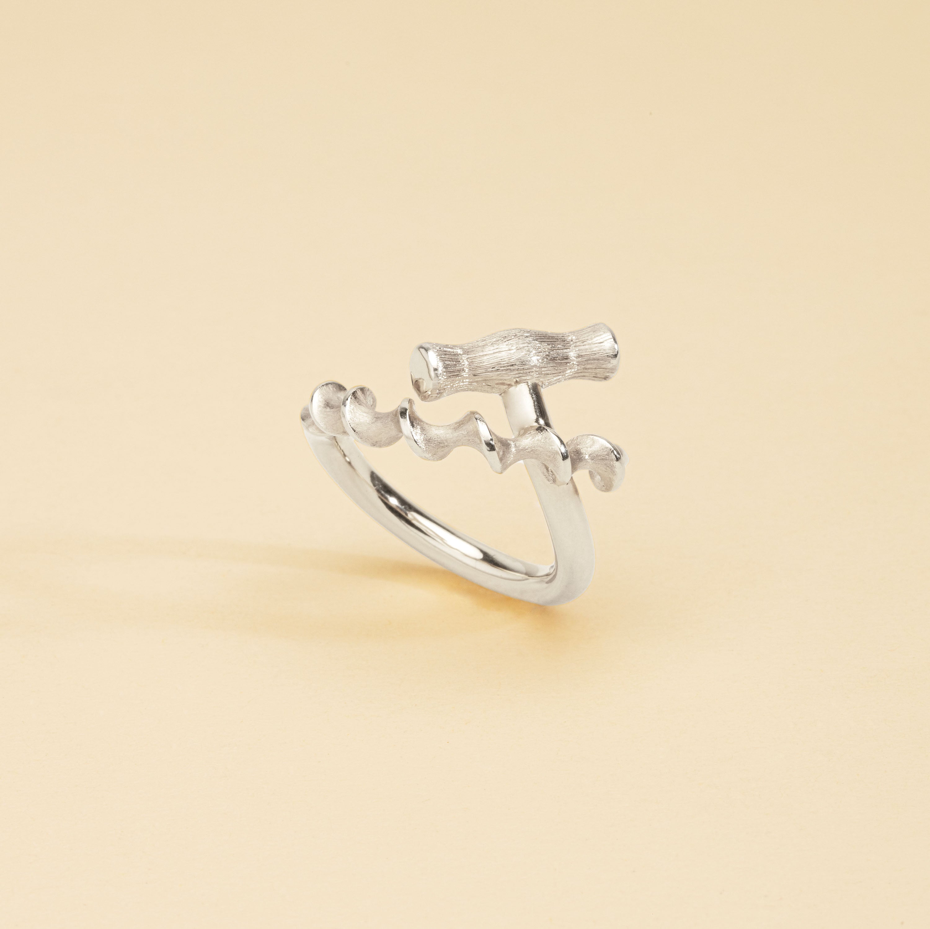 Tire Bouchon Ring